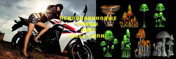 стаф Семёнов