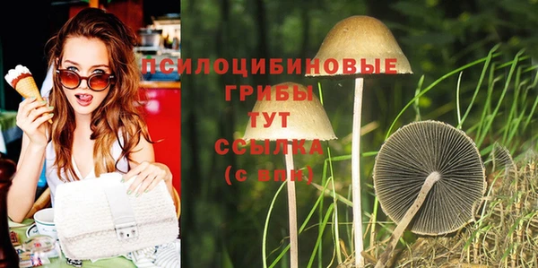PSILOCYBIN Семилуки