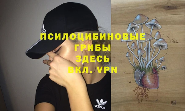 альфа пвп Заполярный