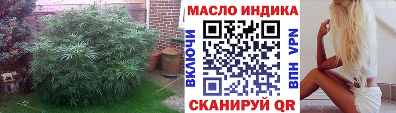 дарнет шоп  Десногорск  ТГК концентрат 
